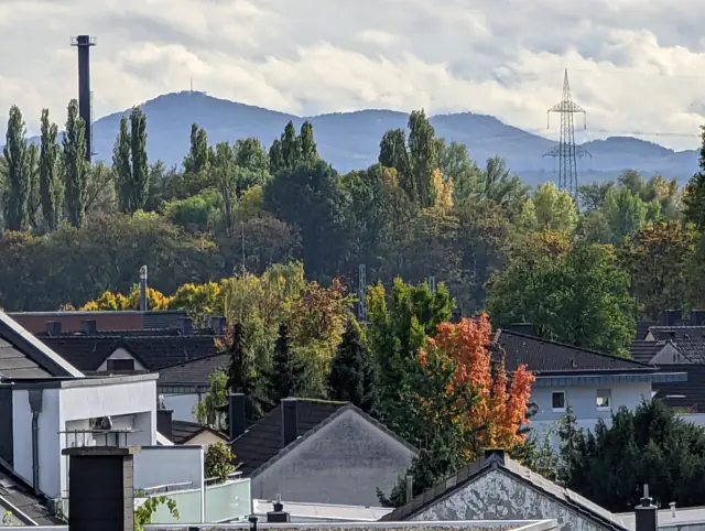 Blick über herbstliche Bäume und Dächer auf das Siebengebirge
